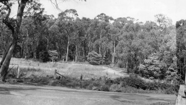 Photograph - Graeme and Jan Beavis, vacant land Yarra Rd Croydon prior to building