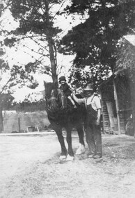 Photograph - Herb Beavis with son Ken, on horse