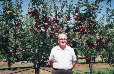 Photograph - Ken Beavis, in orchard