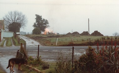 Photograph - View of Herb and Alma Beavis' house, demolished on 24-7-84 facing west of Yarra Rd
