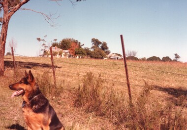 Photograph - View of Herb and Alma Beavis' house, facing south west from Yarra Road 1984