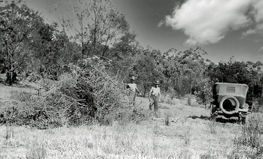 Photograph - Edgar Ernest Walter's (of Wonga Park), car in bush at rear of Post Office store property at corner of Dudley and Jumping Creek (then Warrandyte) Roads