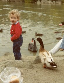 Photograph, POCH & LC Playgroup visiting Ringwood Lake 1984, with Matthias Rist standing with ducks and swans