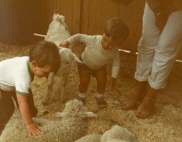 Photograph, POCH & LC Playgroup visiting the animal farm 1984, with Daniel Schubert and Christopher Horden patting lambs