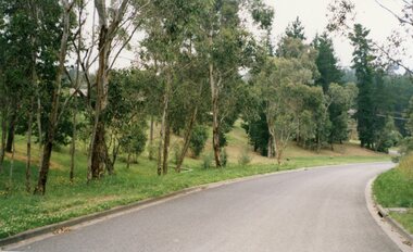 Photograph, Park Orchards, east side of Ennismore Cres, looking south to Gosford Cres