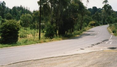 Photograph, Park Orchards, corner of Park Road and Enfield Avenue