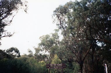 Photograph, "The 100 Acres" sign and entrance at Park Orchards, Unknown date