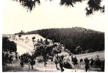 Photocopy, Photograph of Park Orchards golf course, Unknown date