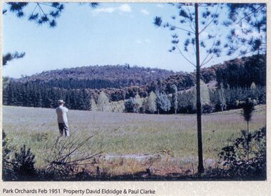 Photograph, Park Orchards property owned by David Eldridge & Paul Clarke in Feb 1951, 1951