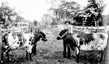 Photograph, The Grantville and Jeetho Agricultural Society's Annual Show: February 1906