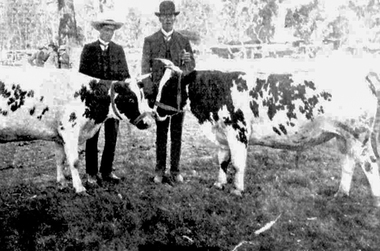 Photograph, The Grantville and Jeetho Agricultural Society's Annual Show: February 1907
