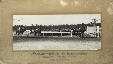 Photograph - Mounted photo finish, Mr C Robertson Jnr "Stylish Huon" Wins Handicap Trot Bendigo, 25 November 1925