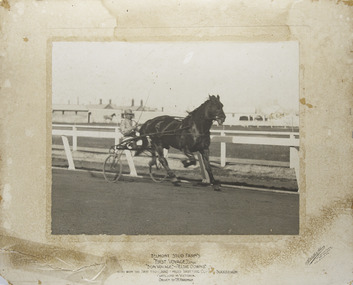 Photograph - Mounted photo, Sutcliffe & Akers, Belmont Stud Farm's, First Voyage, 1915