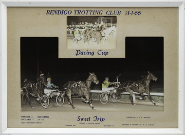 Photograph - Framed photo finish, Greg Matthews Photo, Sweet Trip, 11 January 1966