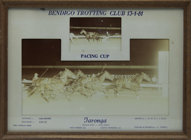 Photograph - Framed photo finish, Greg Matthews Photo, Taronga, 13 January 1981