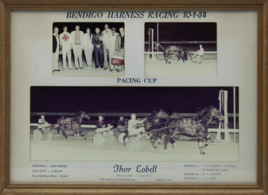 Photograph - Framed photo finish, Greg Matthews Photo, Thor Lobell, 10 January 1984