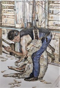 painting, Shearing 'Niawanda Beaufort' by Sue Jarvis, 1992