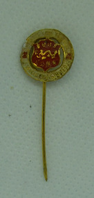 Lapel pin, Hong Kong Football Association pin