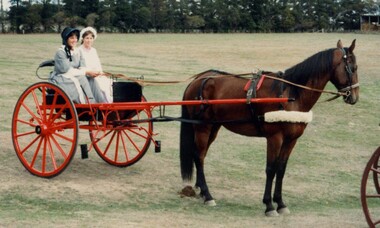 Two women in horsedrawn cart.