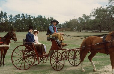 People in a horsedrawn carriage.