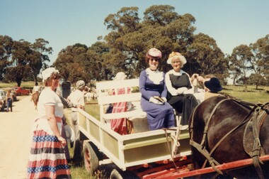 Horse and cart in a parade.