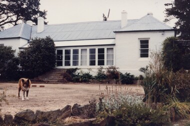 Image of a homestead.