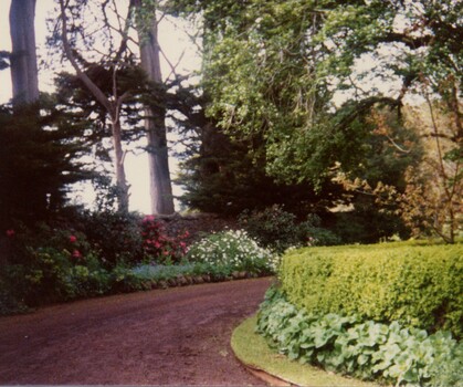 Road through a garden.