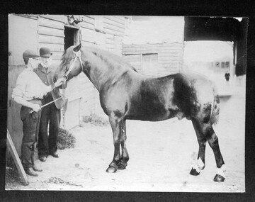 Photograph, Richard Ching with stablehand and horse