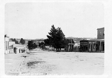 Photograph, Sussex Street, Linton, view to south, before 1912