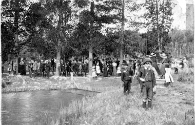 Photograph, Postcard : group of people on bushland outing, c.1911