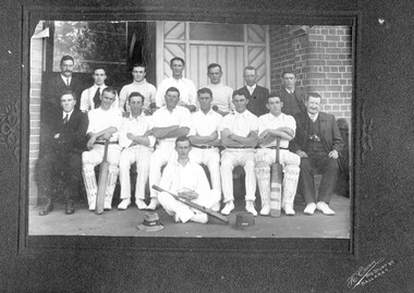 Group photograph of a cricket team.