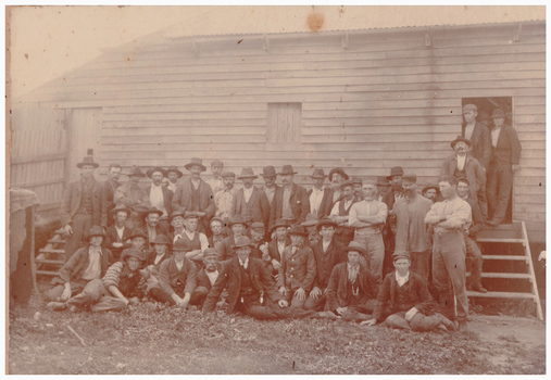 Shearing shed and shearers.