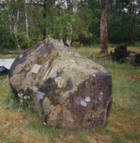Photograph, Clarkesdale Bird Sanctuary 1996