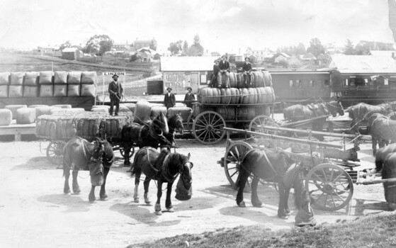 Horses, drays and wool bales.