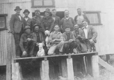 Group of shearers.