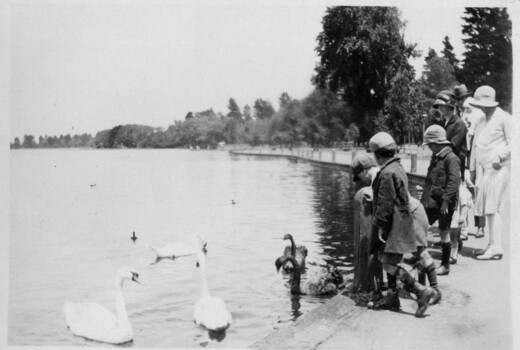 Children feeding swans.