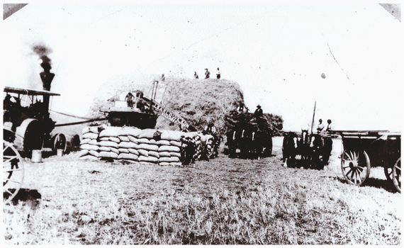 Crops being harvested.