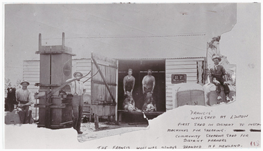 Men and sheep at a woolshed.