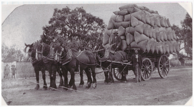 Bags of chaff on a horsedrawn cart.