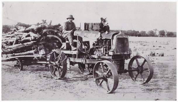 Man and dog on a tractor hauling wood.