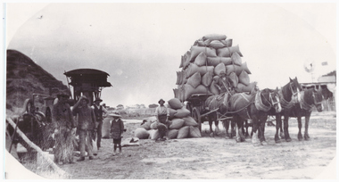 Chaff carters and horsedrawn cart.