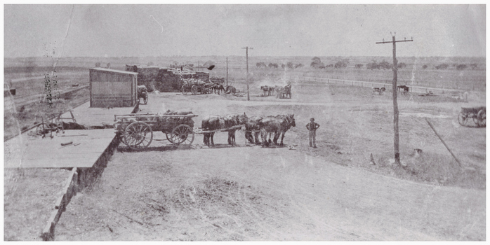 Horsedrawn vehicles at an unloading facility.