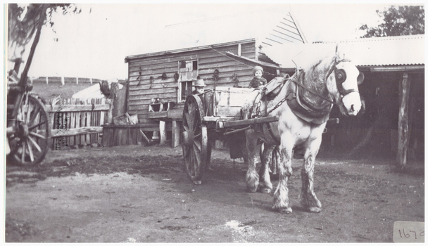 Man and horsedrawn vehicle.