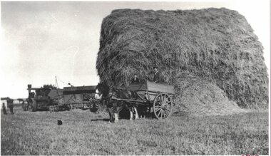Photograph, Threshing