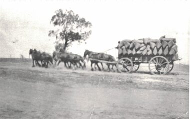 Horse and cart hauling wheat.