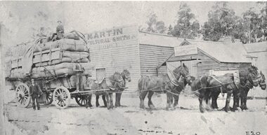 Carting wool by horse and dray.