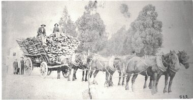 Hauling wood by horse and dray.