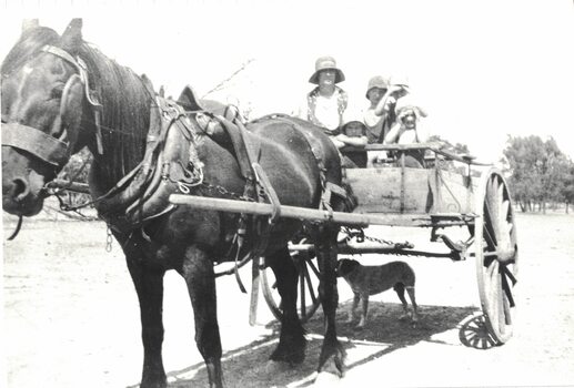 People in a horsedrawn cart.