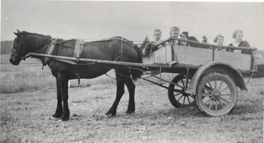 Children in a horsedrawn cart.