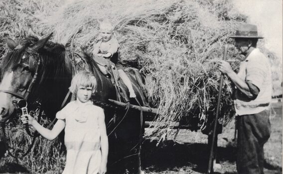 Horsedrawn hay cart.